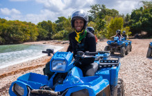 Island Experiences from Montego Bay