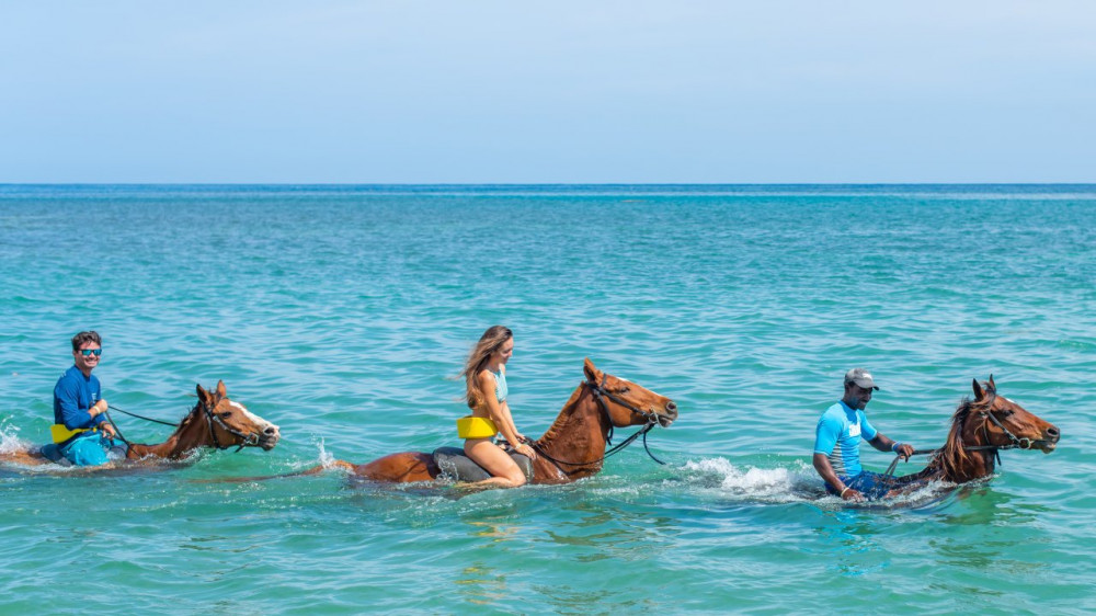 Ocean Outpost Single: Zipline or Catmaran or Horse Ride