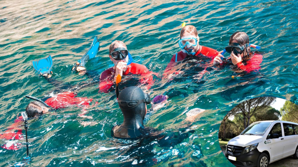 Discover the Marine Park by Snorkeling With Shuttle