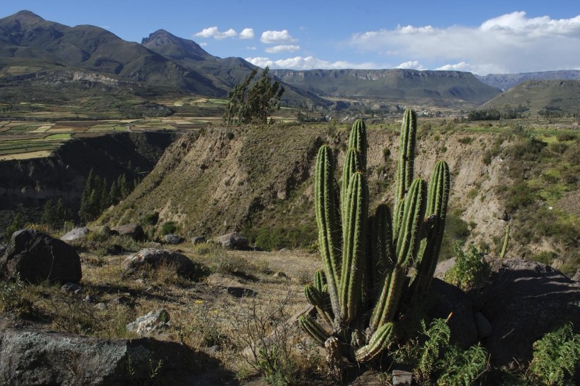 2 Days - Arequipa And Colca Canyon