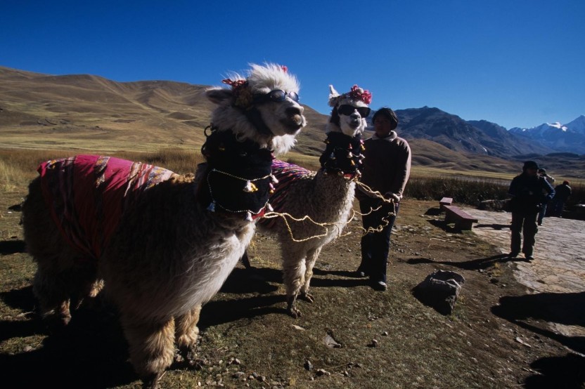 One-way Touristic Scenic Bus From Cusco To Puno