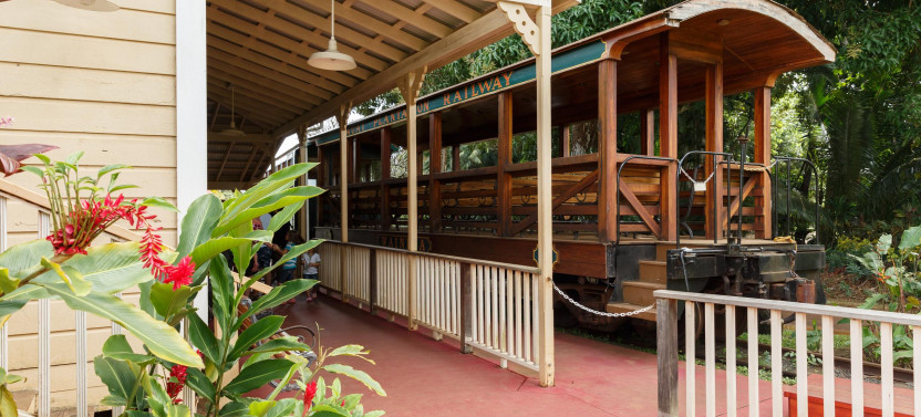 Luau Kalamaku - Hawaiian Package With Train Ride