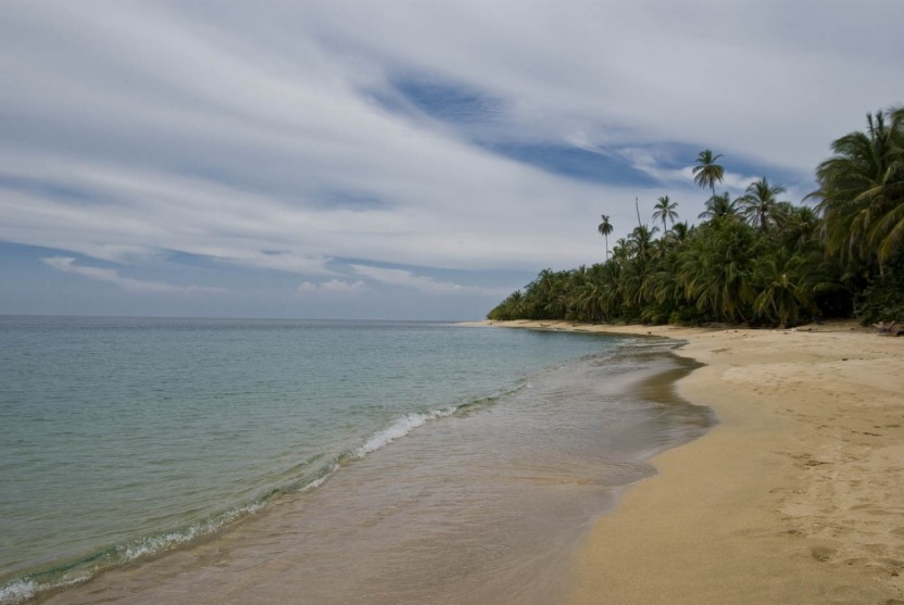 Море ува. Проект по защите морских черепах Gandoca Manzanillo National Wildlife Refuge в Коста-Рике.