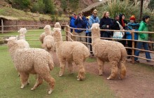 Sacred Valley Of The Incas: Pisac And Ollantaytambo
