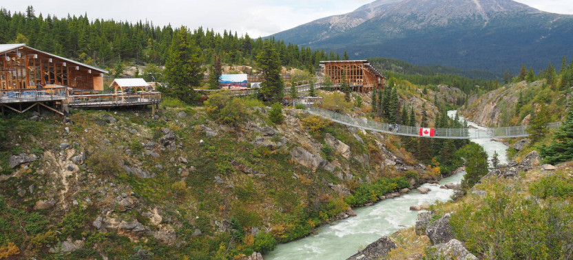 White Pass Summit Rail & Suspension Bridge Tour by Rail/Bus