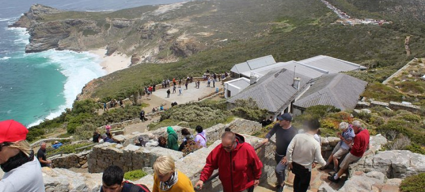 Private Cape Point Penguin & Full Day Exploring Cape Peninsula