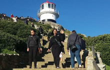 Private Cape Point Penguin & Full Day Exploring Cape Peninsula