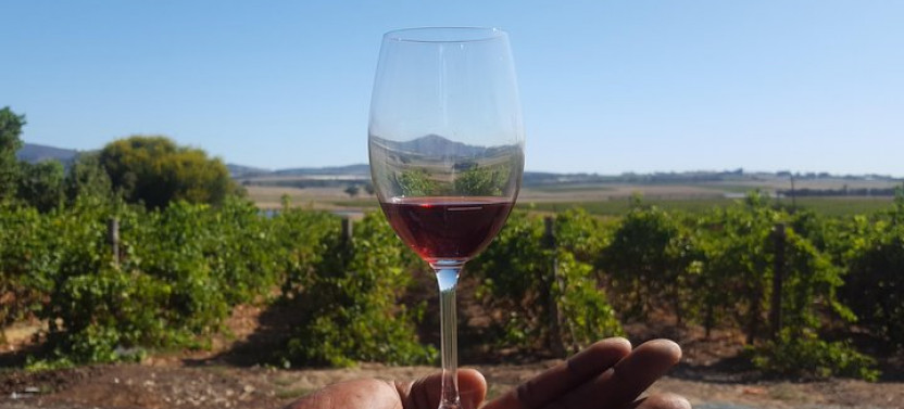 Shared Tour To The Wineries Stellenbosch Paarl+Cheese Tasting - Cape Tour