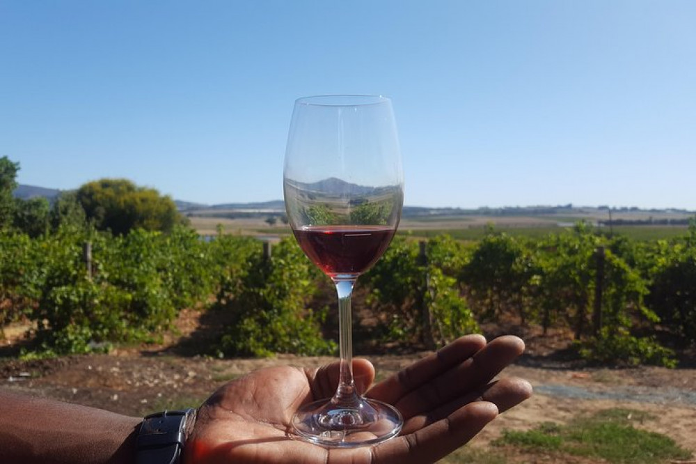 Full Day Stellenbosch Franschoek Paarl Wineries From Cape Town