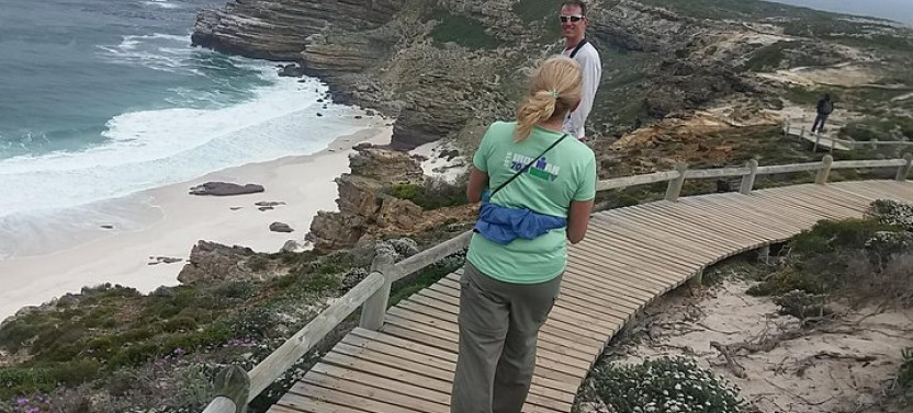 Cape Point, Chapman's Peak Drive, Penguins Day Tour + Wine Taste