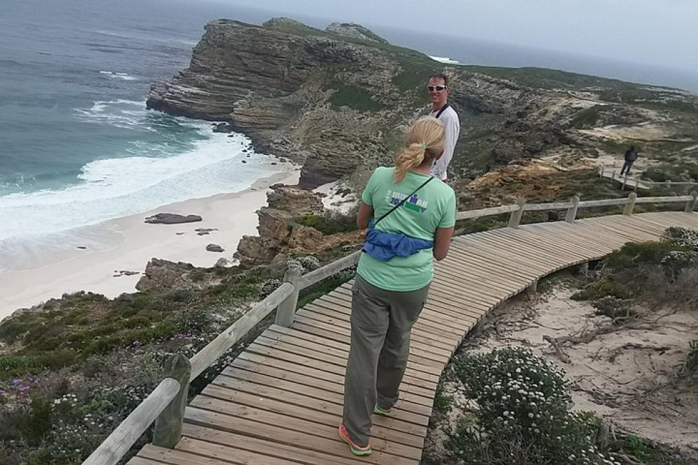 Cape Point, Chapman's Peak Drive, Penguins Day Tour + Wine Taste