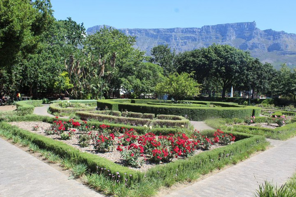 Private Cape Town + Table Mt. & Botanical Gardens Tour