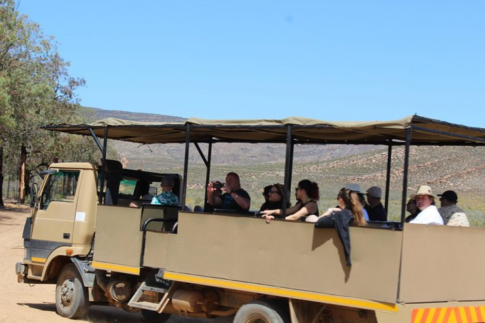 Big 5 Safari + Aquila Game Reserve From Cape Town Transfer