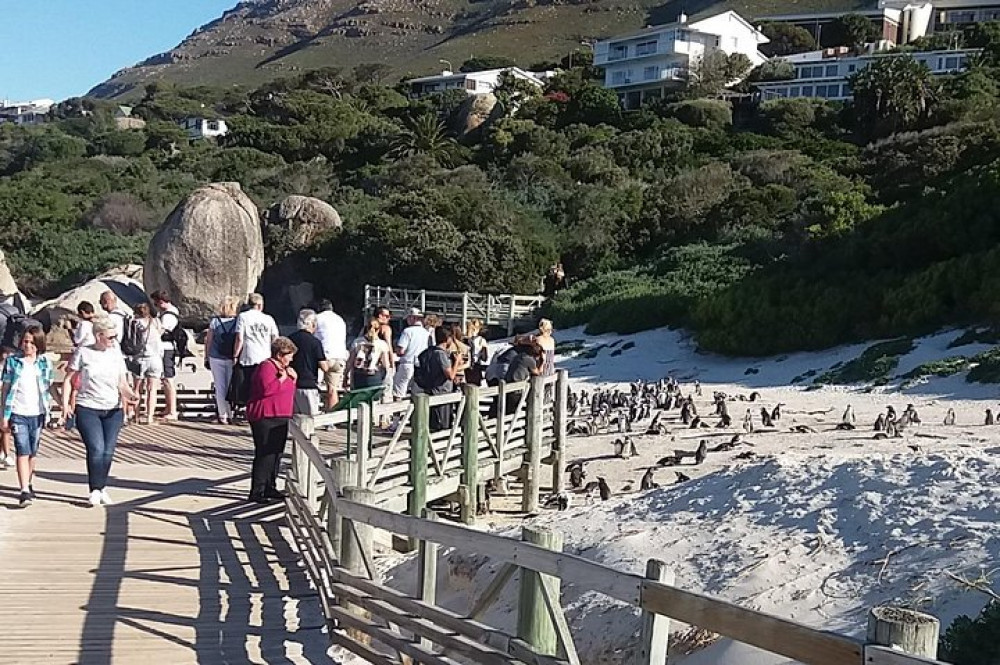 Cape Of Good Hope, Table Mountain & Bo-Kaap Penguins Beach