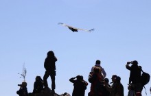 Condor Flight And Lake Titicaca (5 Days & 4 Nights)