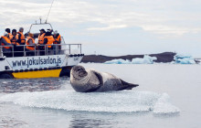 2-Day Guided Tour | South Coast To Jokulsarlon In A Small Group