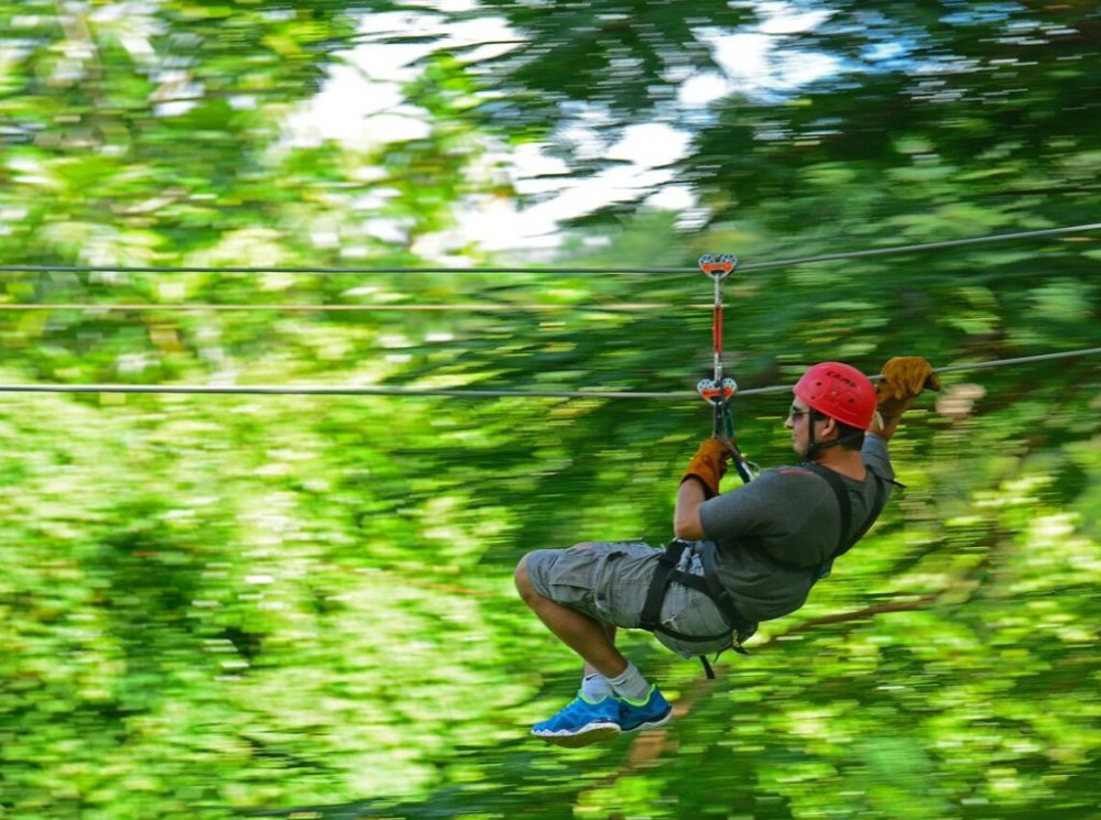 Zip Lines Adventure Punta Cana Punta Cana Project Expedition