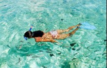 Discovery Bavaro Snorkeling Excursion from Punta Cana