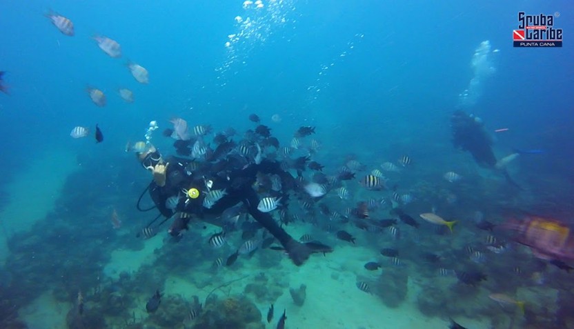 PADI Scuba Diver in Punta Cana