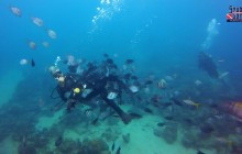 PADI Scuba Diver in Punta Cana
