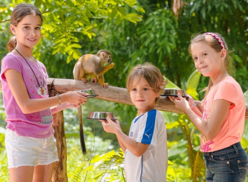 Monkeyland & Plantation Half Day Tour