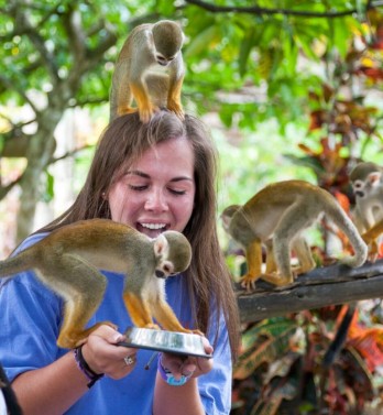 Monkeyland & Plantation Half Day Tour