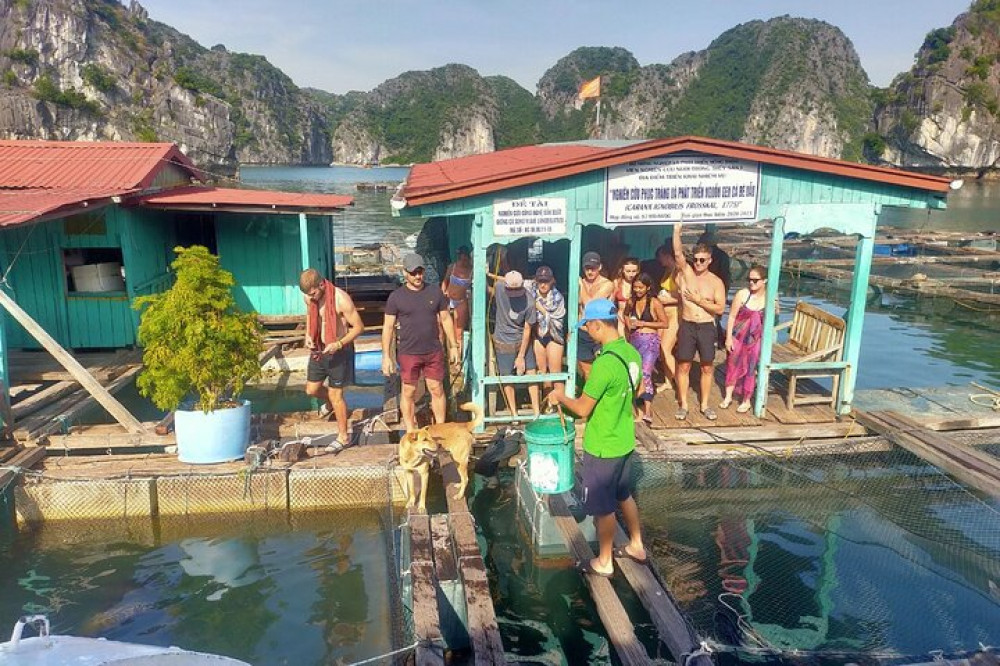 Boat Tour To Lan Ha Bay Ha Long Bay From Cat Ba Island Cat Ba Islands Project Expedition