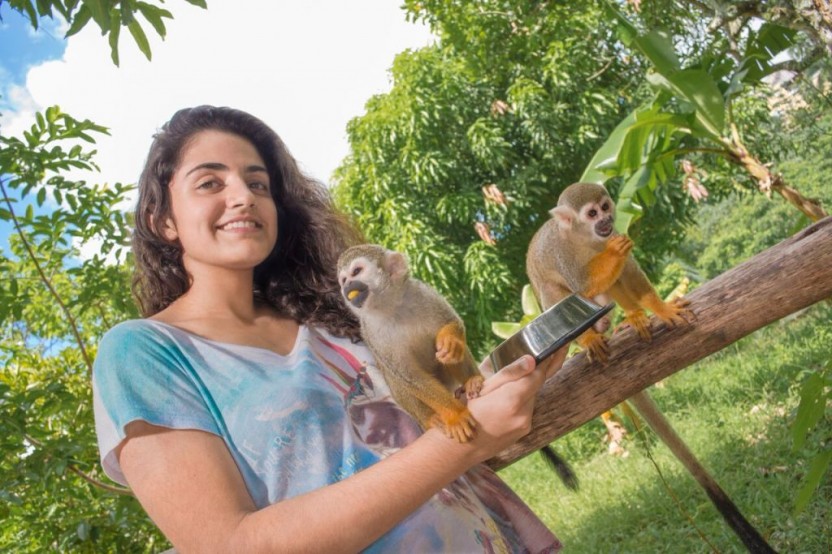 Monkeyland From La Romana