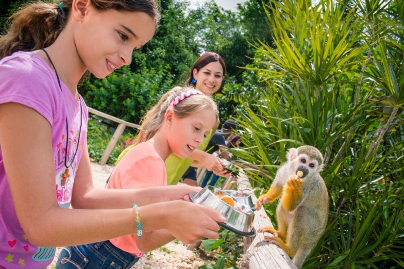 Monkeyland From La Romana