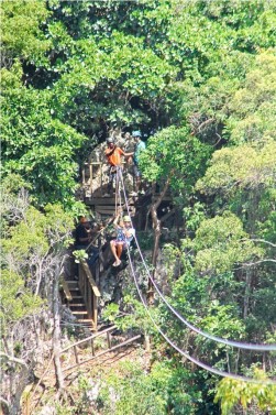 Ziplines + Monkeyland