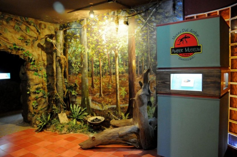 Pop City Tour with Fossil Museum + Rum Factory