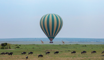 A picture of Small Group Premium Adventure Through Kenya - 7D/6N