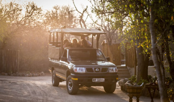 A picture of Small Group Premium Adventure Through South Africa - 8D/7N