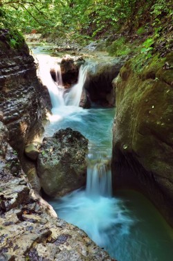 Charcos De Damajagua / Waterfalls + Local Village Experience
