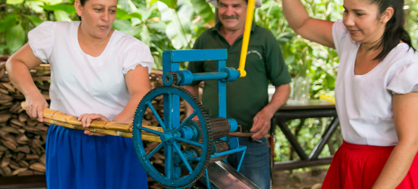Small Group Premium Adventure Through Costa Rica - 8D/7N