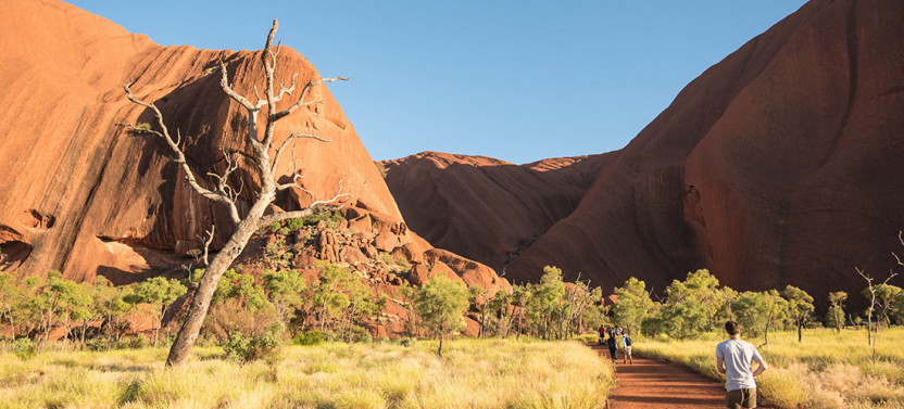 Small Group Uluru & Kings Canyon Adventure - 4D/3N