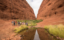 Small Group Uluru & Kings Canyon Adventure - 4D/3N