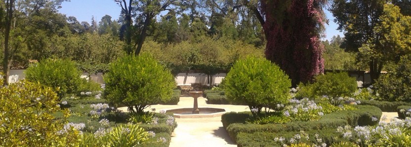 Concha y Toro & Cousiño Macul Wine Tour