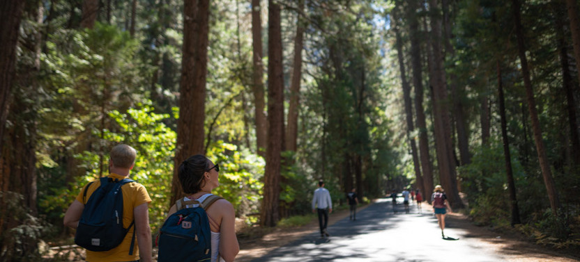 Small Group Hiking Trip In Yosemite National Park - 6D/5N