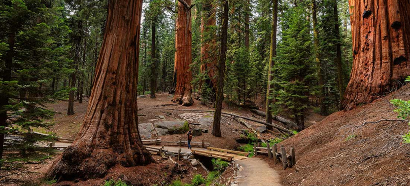 Small Group Hiking Trip In Yosemite National Park - 6D/5N