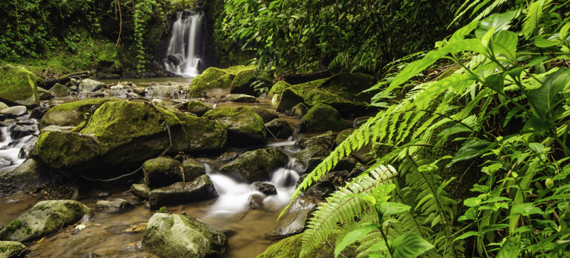 Small Group Best Of Costa Rica & National Parks - 8D/7N