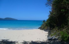 Playa Rincon Beach with Speed Boat Ride + Lobster Lunch