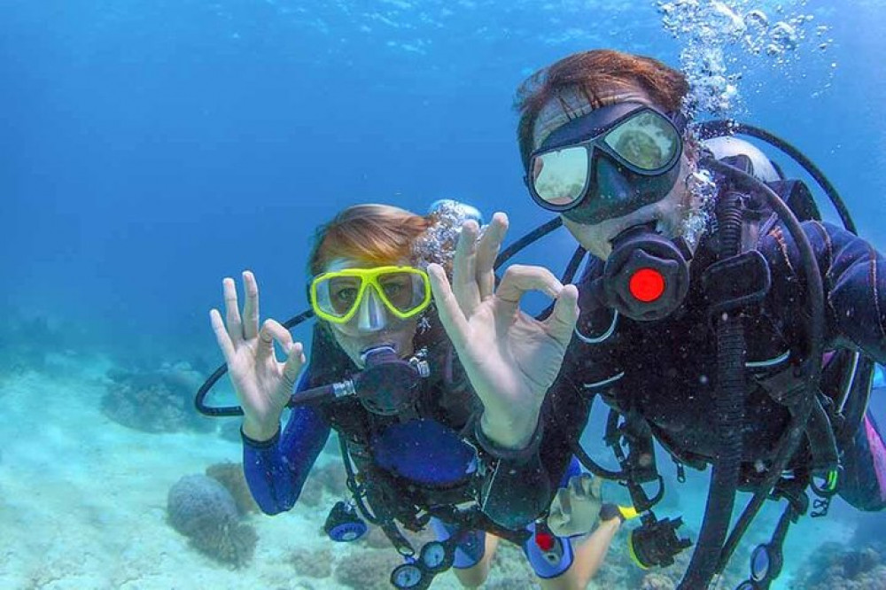 Learn To Dive - Beginners Scuba Course at Las Caletas - Puerto Vallarta