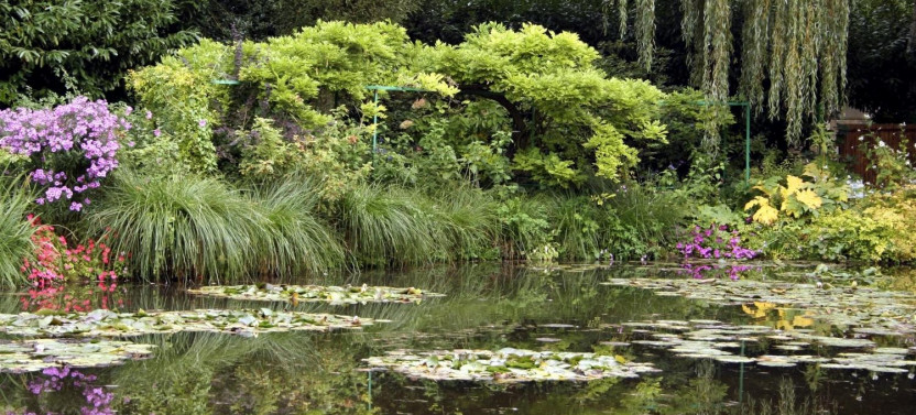 Half Day Tour of Giverny Monet's Gardens From Paris on Your Own