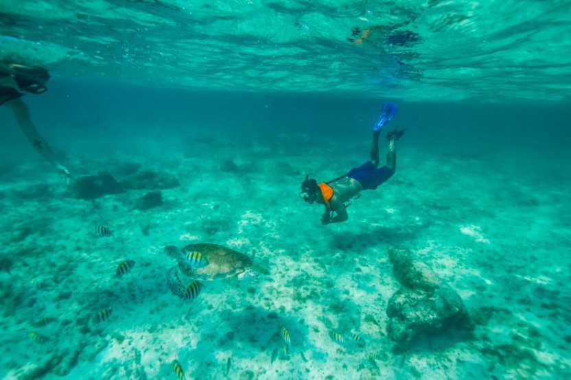 Riviera Maya Luxury Catamaran Sailing & Snorkeling from Puerto Aventuras