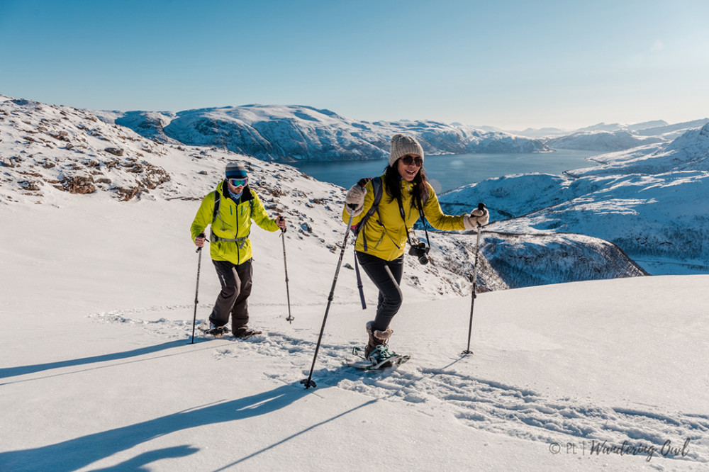 Winter Walk On The Wild Side of Tromsø Tromso Project Expedition