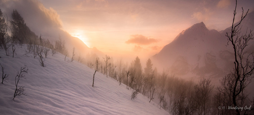 Tromsø: Winter Snowshoeing in the Wilderness