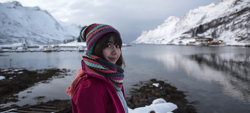 Tromsø: Winter Fjord Road Trip