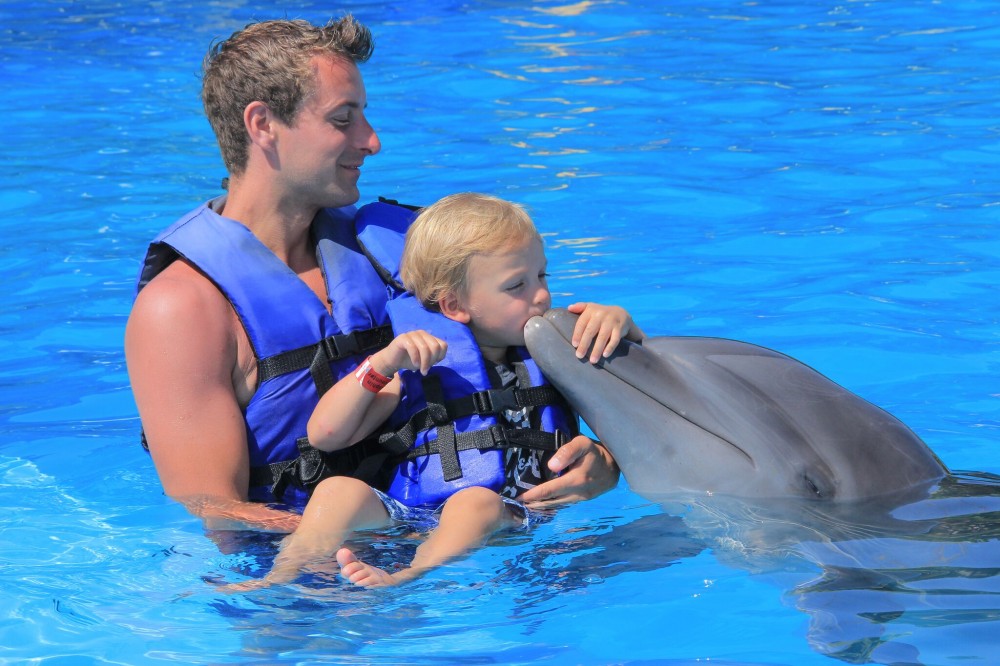 Dolphin Encounter Cabo San Lucas Project Expedition