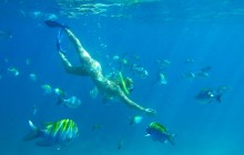 Los Cabos Luxury Snorkel And Lunch Cruise